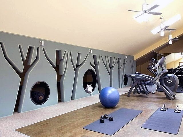 Gym and Yoga Space