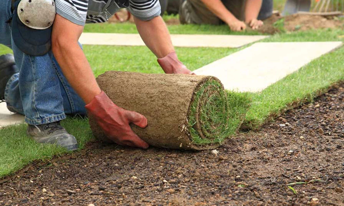 3 Landscaping Tips For Your Property