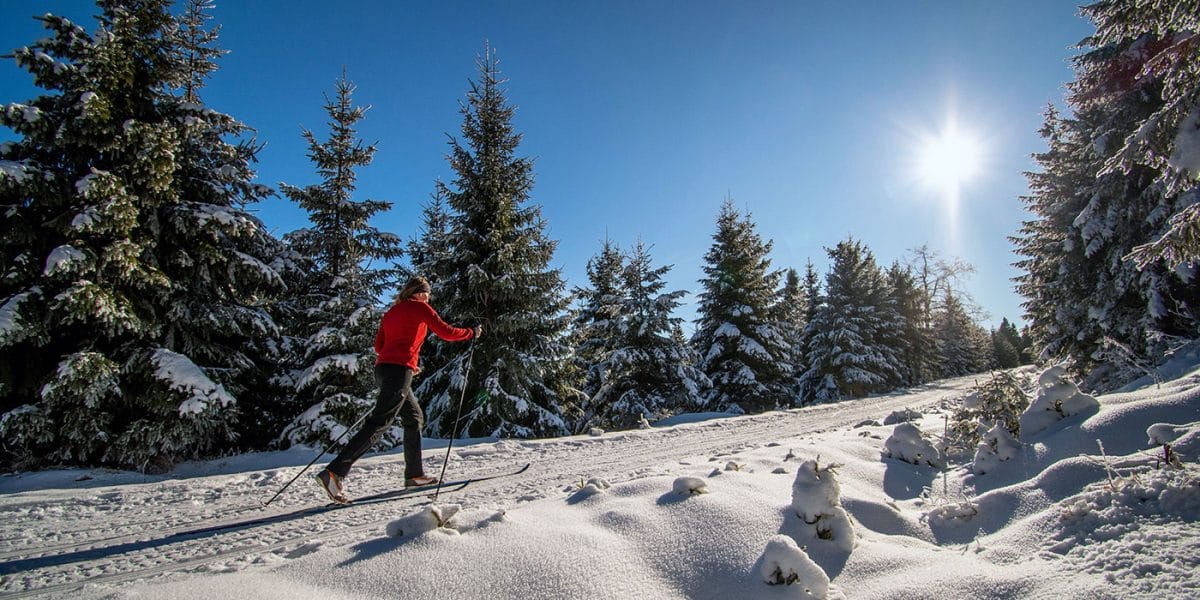 Cross-country Skiing Blue Mountain