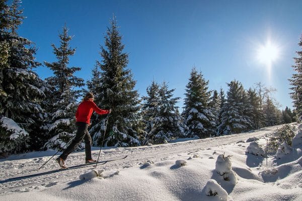 Cross-country Skiing Blue Mountain
